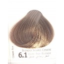 envie color 6.1 biondo scuro cenere