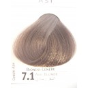 envie color 7.1 biondo cenere
