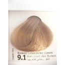 envie color 9.1 biondo chiarissimo cenere